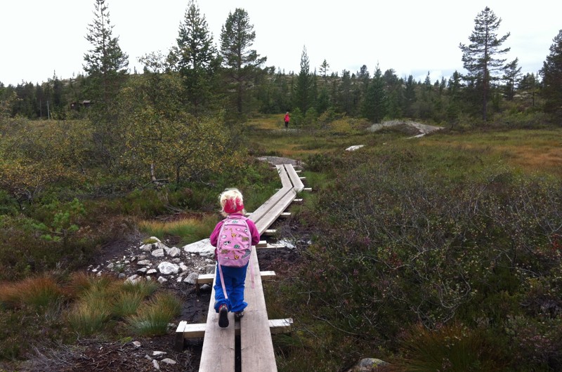 Vi oppfyller hyttedrømmen på en av våre hyttetomter! 