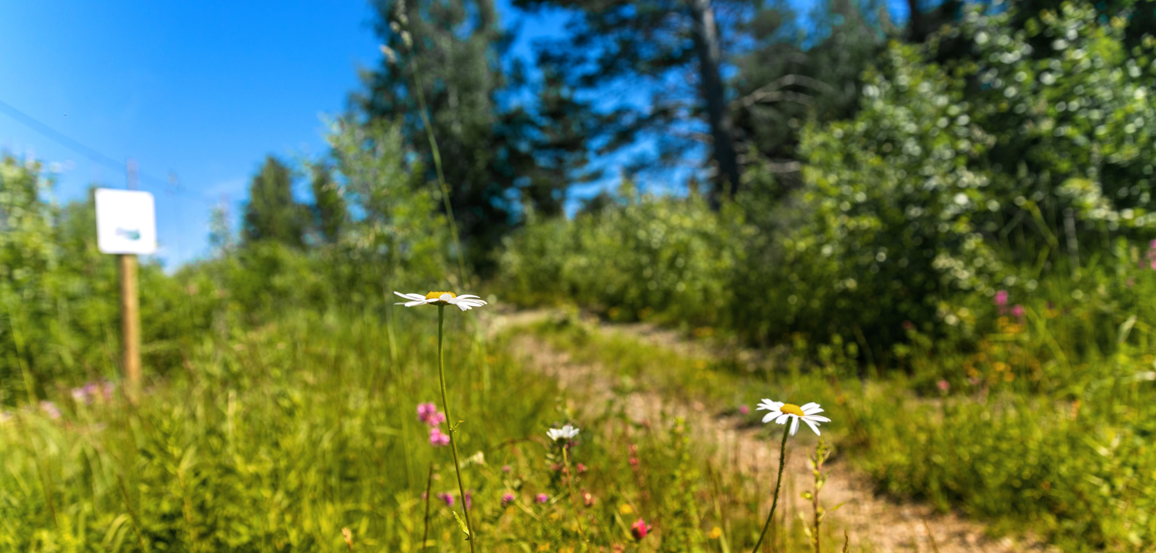 Grinda -boligtomter midt i Lyngdal